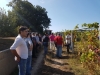 Profesionalización e desenvolvemento da viticultura na IXP Ribeiras do Morrazo